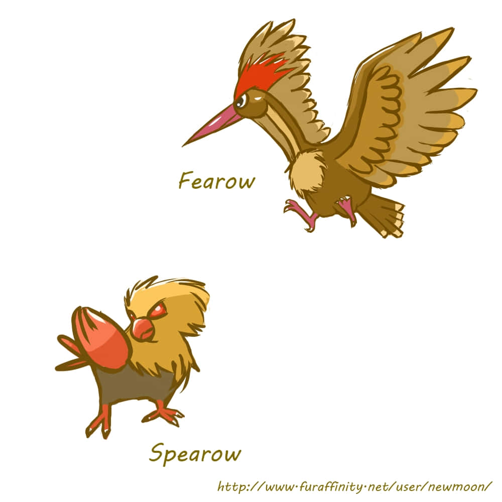 A Majestic Spearow In The Wild Background