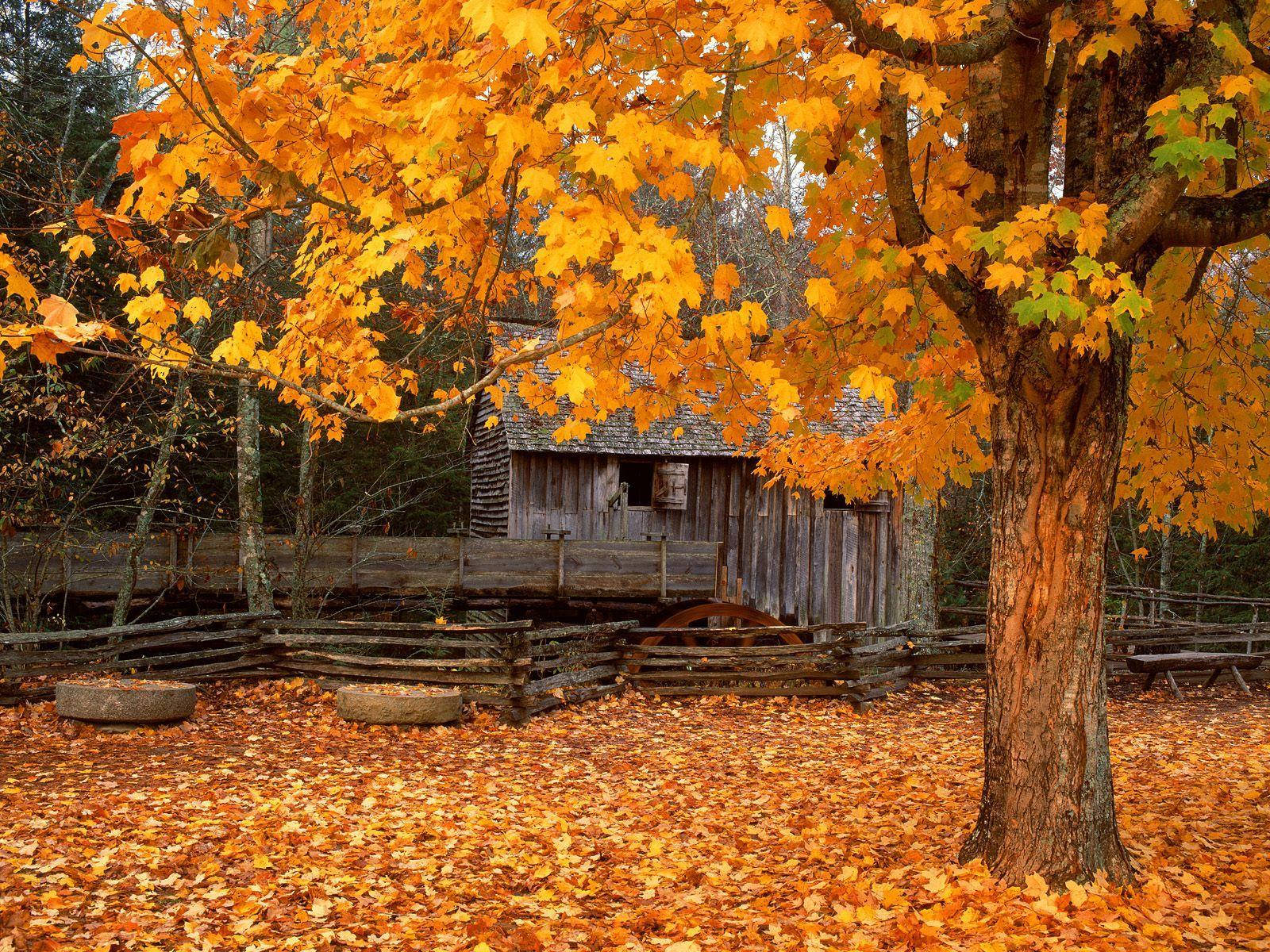 A Majestic View Of The Great Smoky Mountains Background