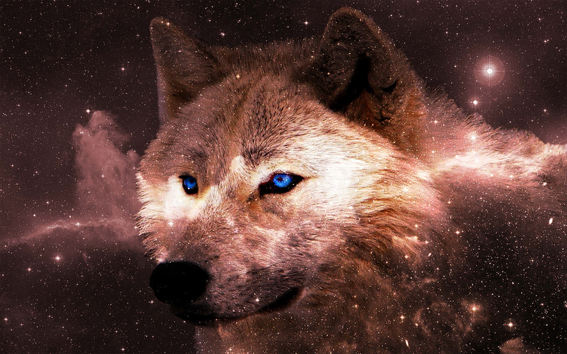 A Majestic White Wolf Stands Atop A Cliff Side, Gazing At The World Below. Background