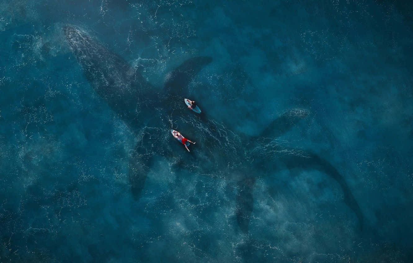 A Man And Woman Are Swimming In The Ocean With A Whale Background