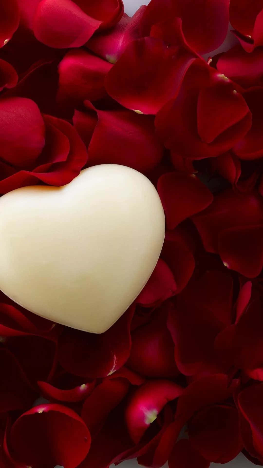 A Man And Woman In A Loving Embrace Background