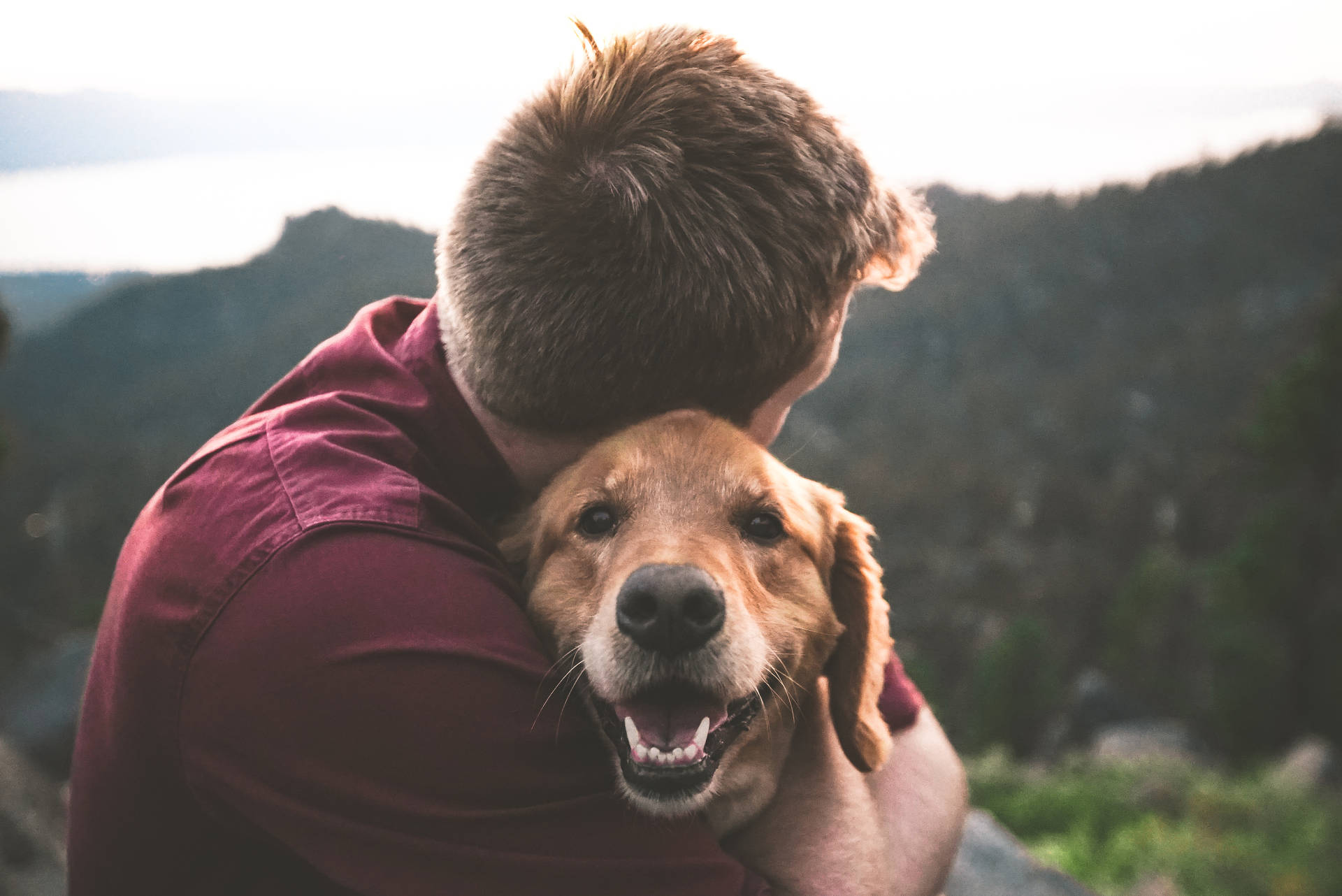 A Man Hugging His Dog On A Mountain Top Background