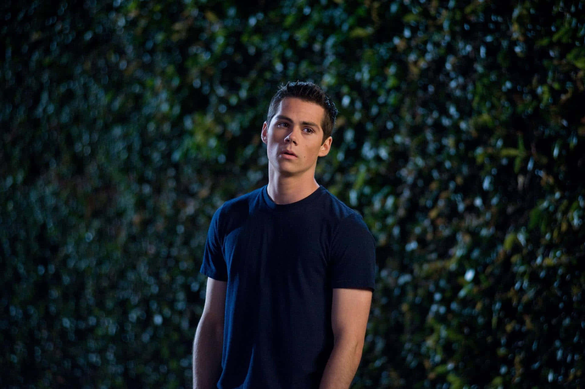 A Man In A Blue Shirt Standing In Front Of A Hedge Background