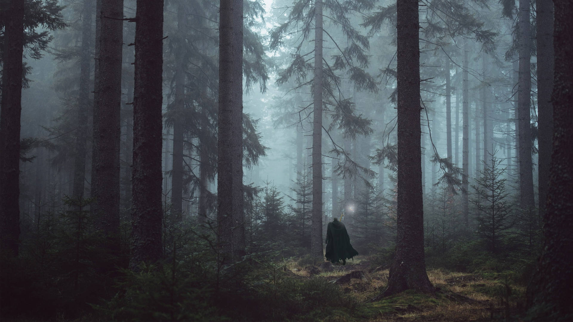 A Man In A Cloak Is Standing In A Forest Background