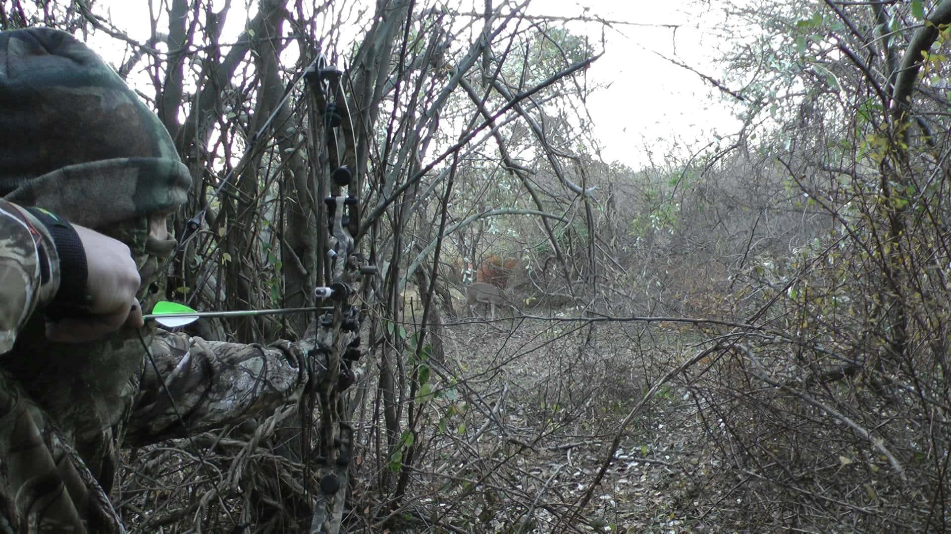 A Man Is Aiming His Bow At A Tree
