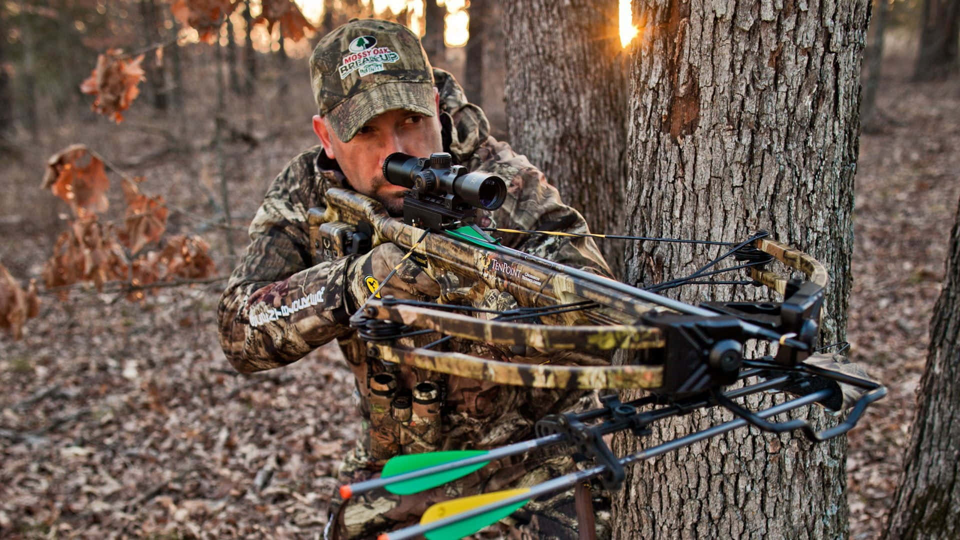 A Man Is Aiming His Bow In The Woods Background