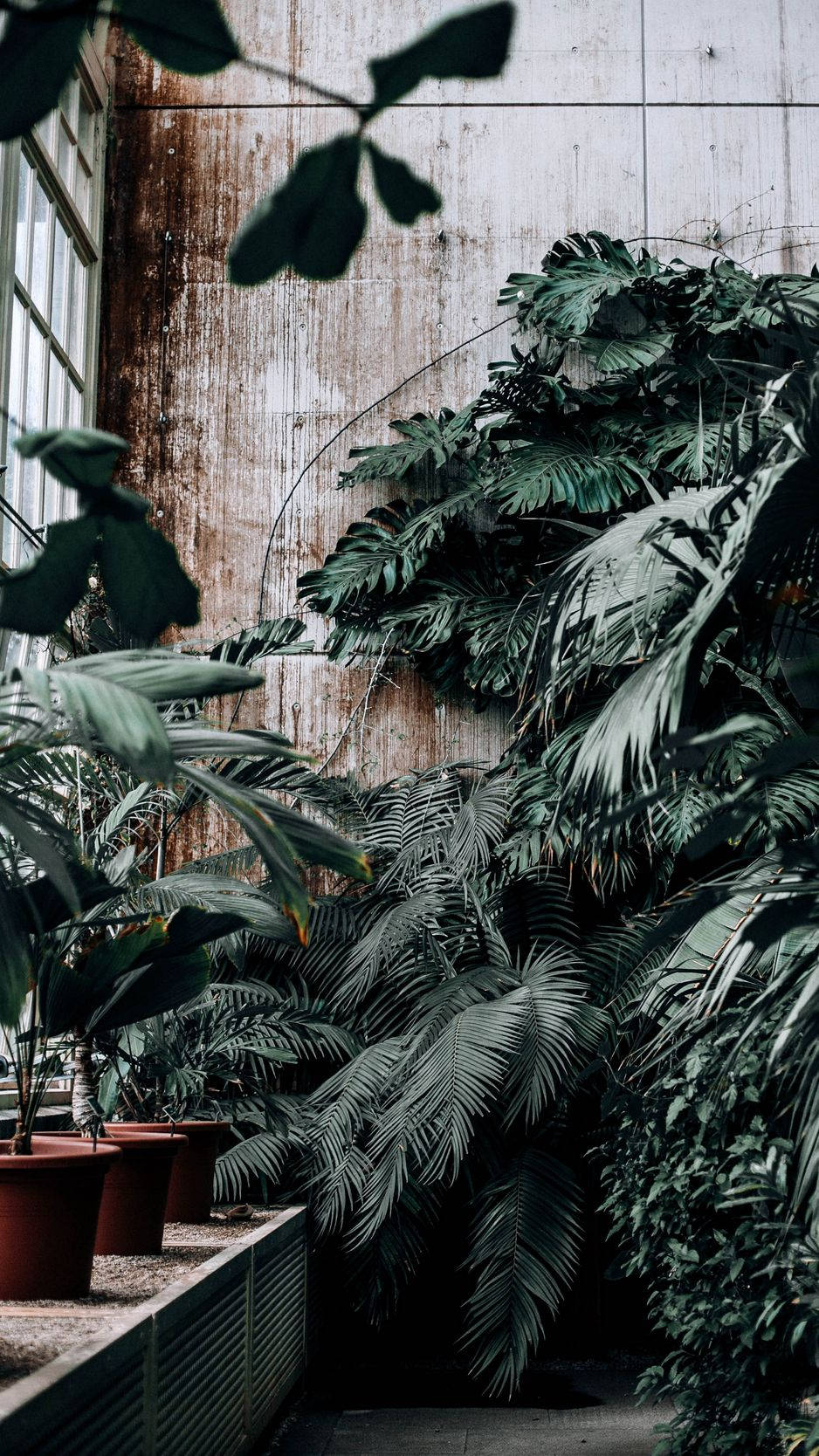 A Man Is Sitting In A Room With Plants Background