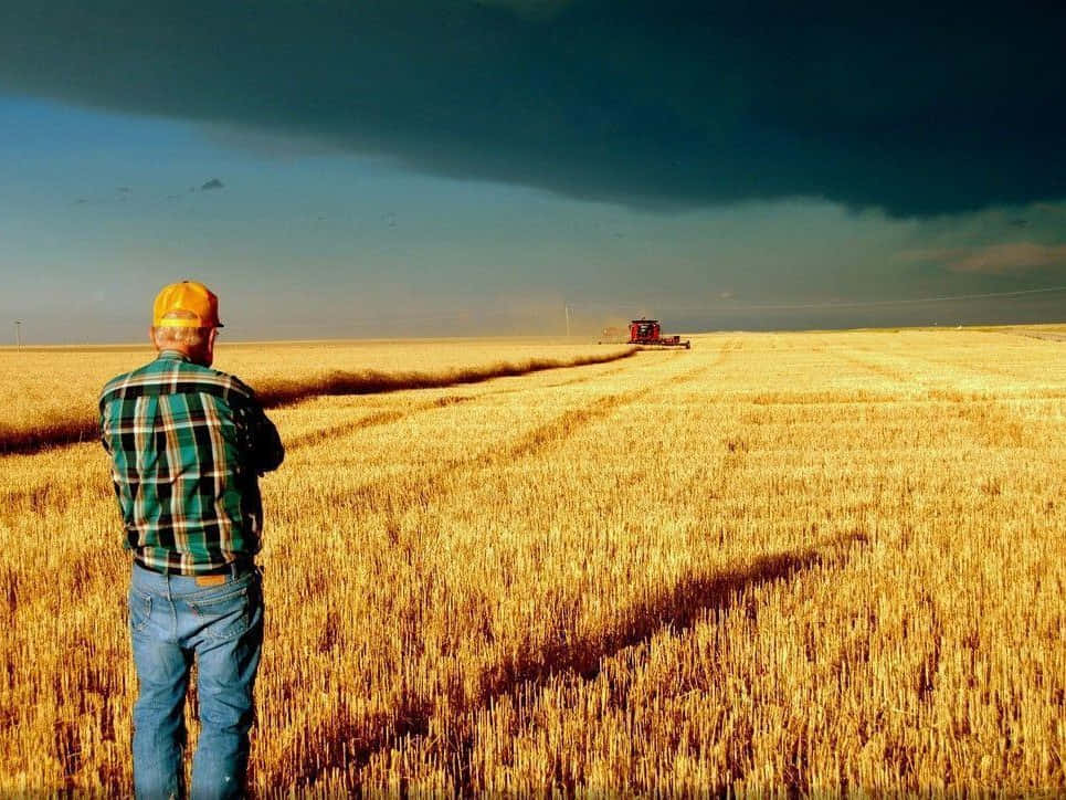 A Man Is Standing In A Wheat Field Looking At A Storm Background