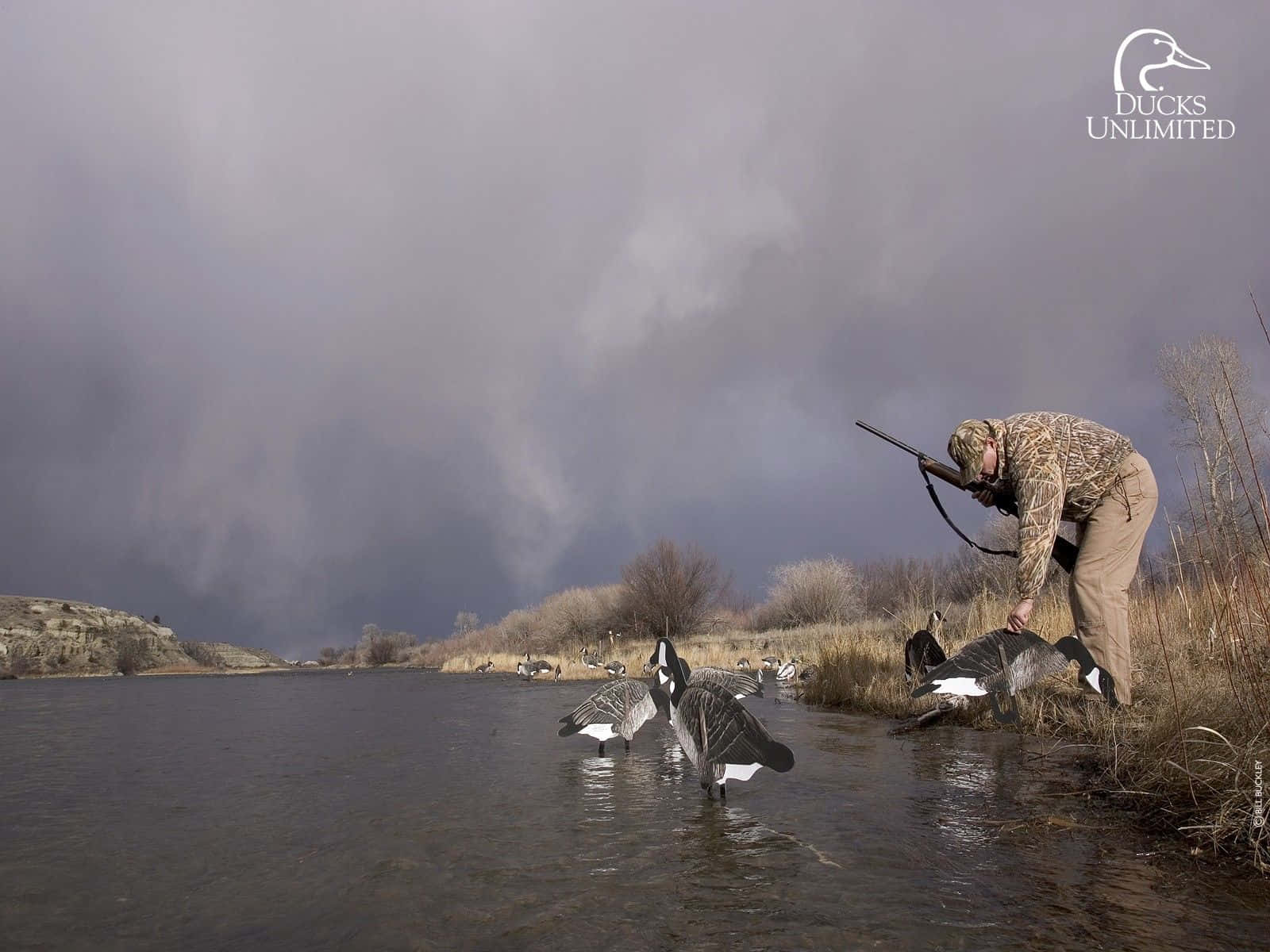 A Man Is Standing In The Water With Ducks Background