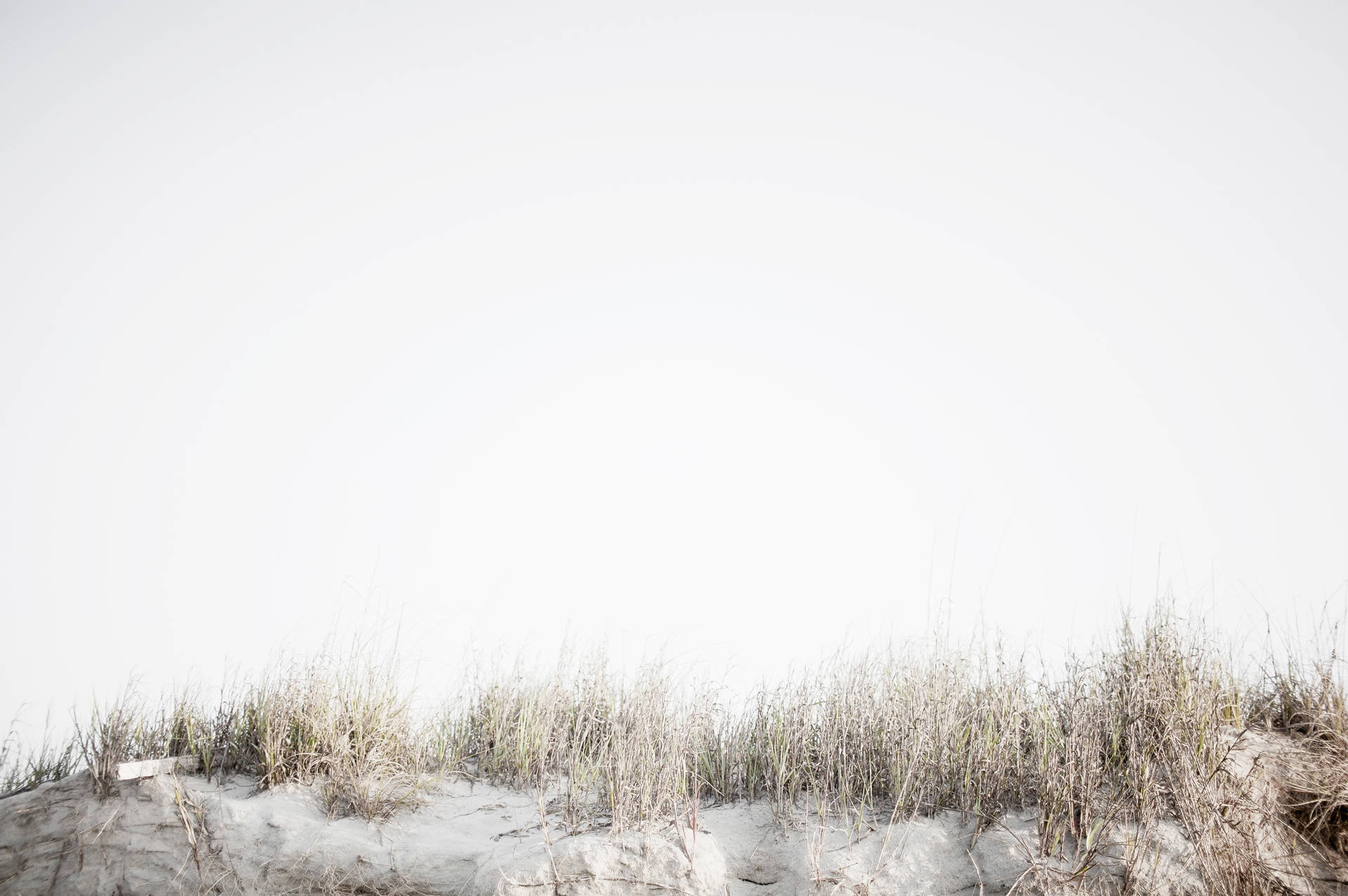 A Man Is Standing On A Sand Dune Background