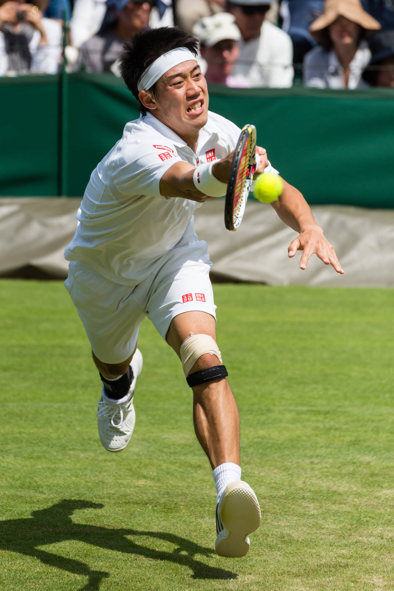 A Man Playing Tennis Background