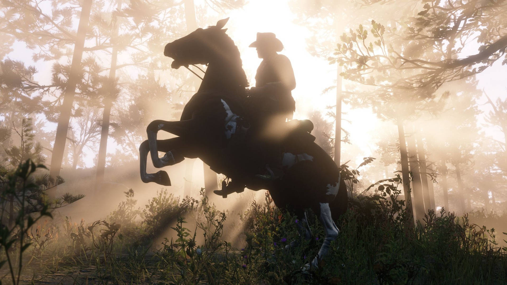 A Man Riding A Horse In The Woods Background