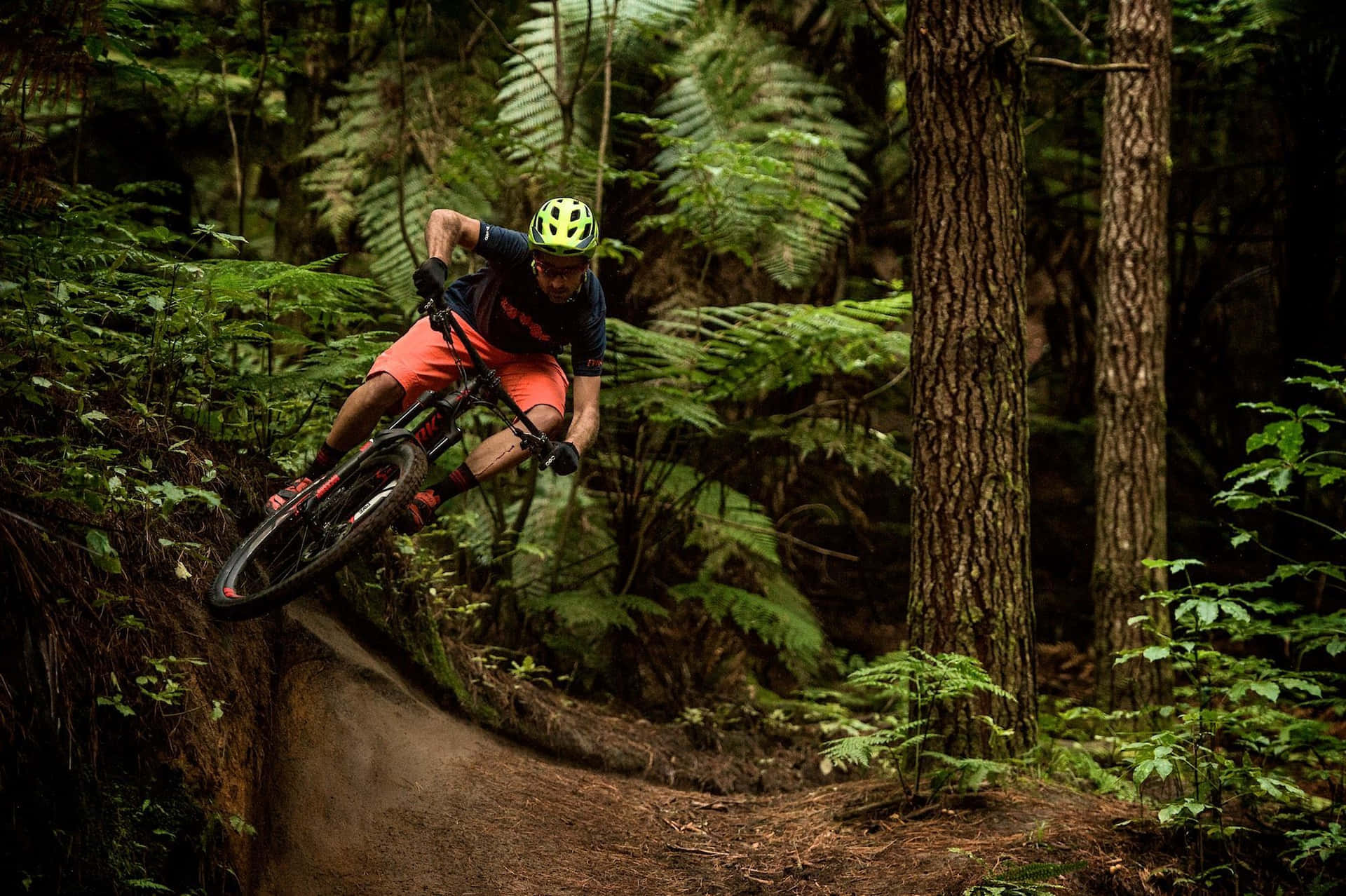 A Man Riding A Mountain Bike In The Woods Background