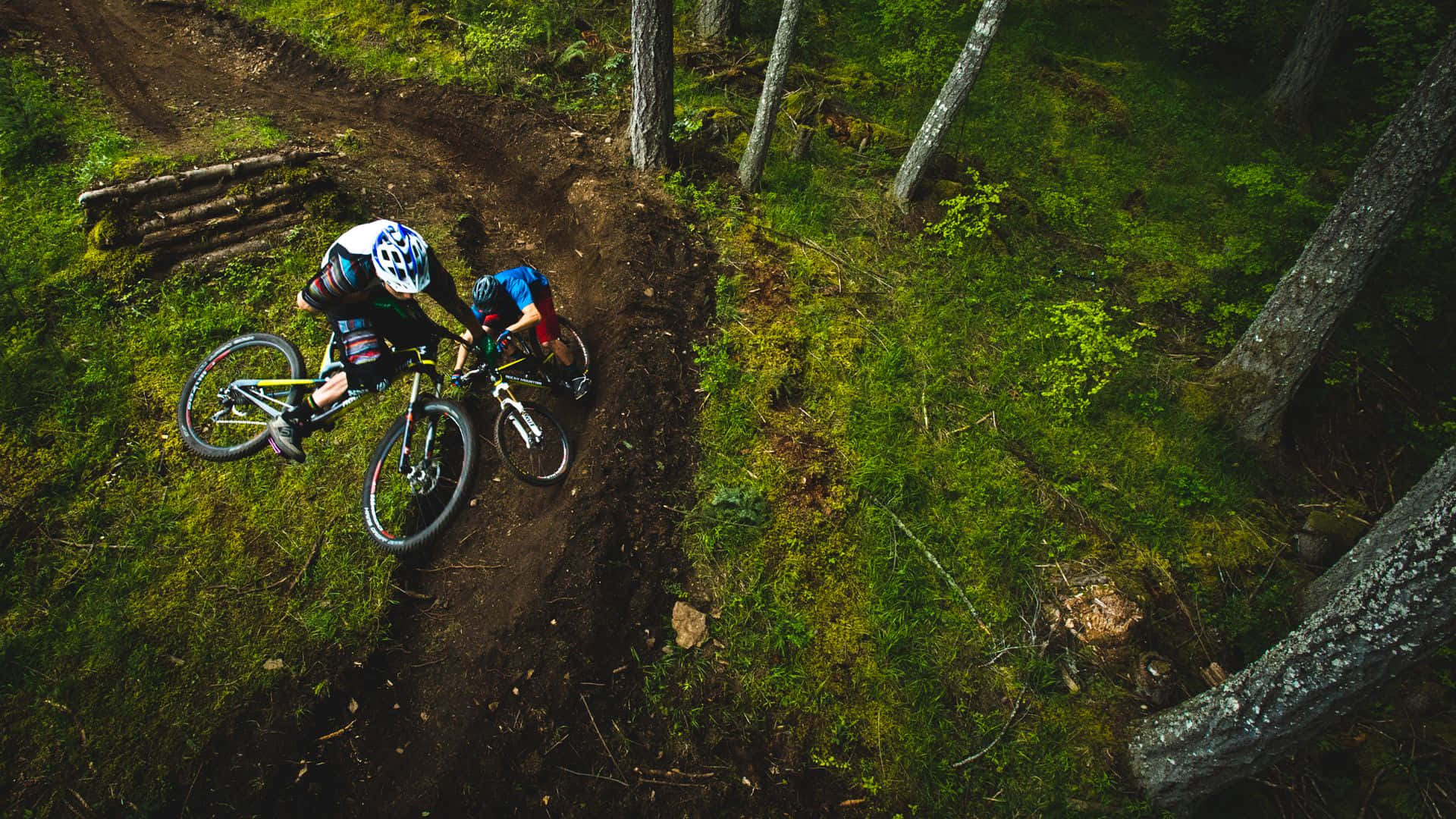 A Man Riding A Mountain Bike In The Woods Background