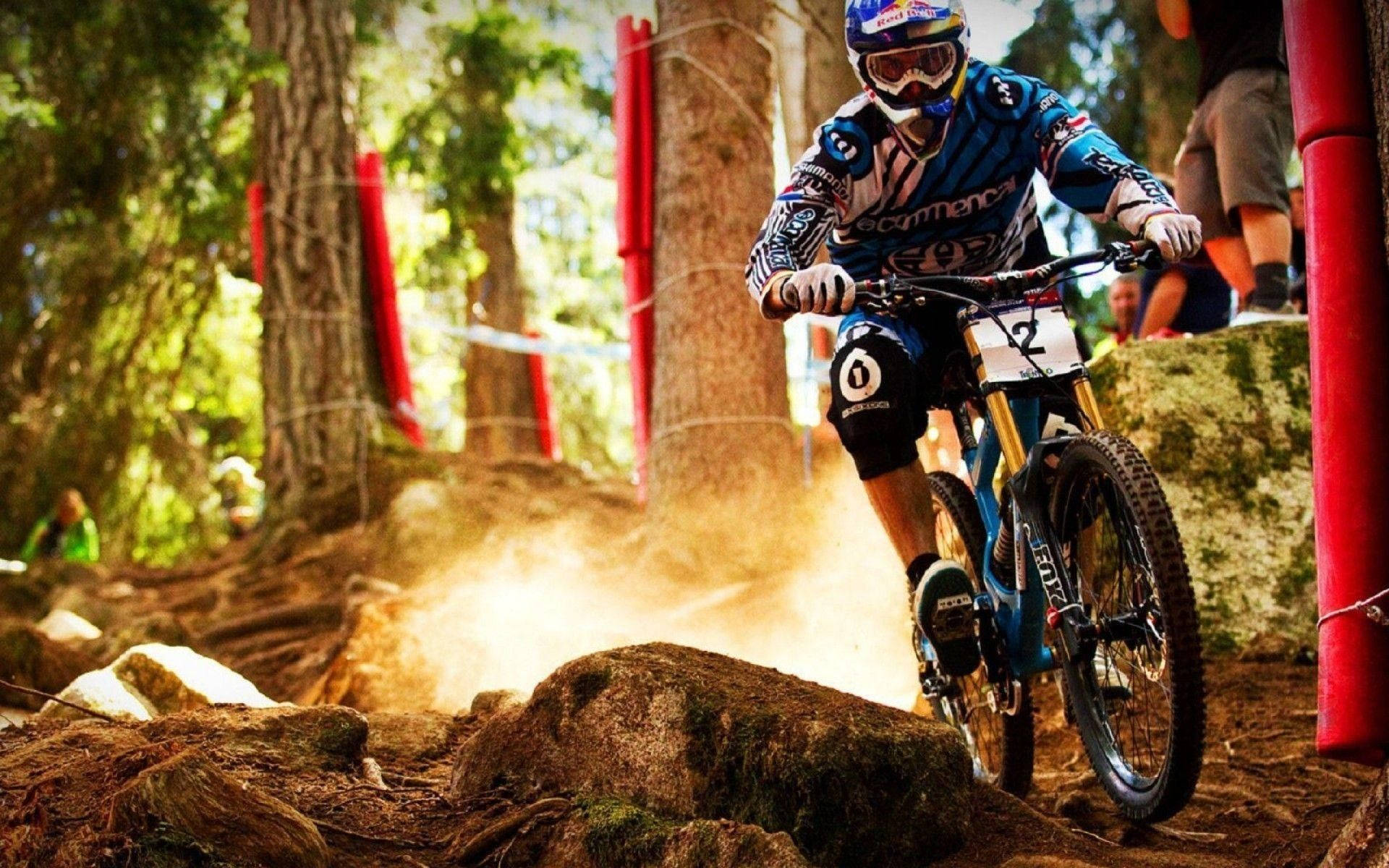 A Man Riding A Mountain Bike Through A Forest Background