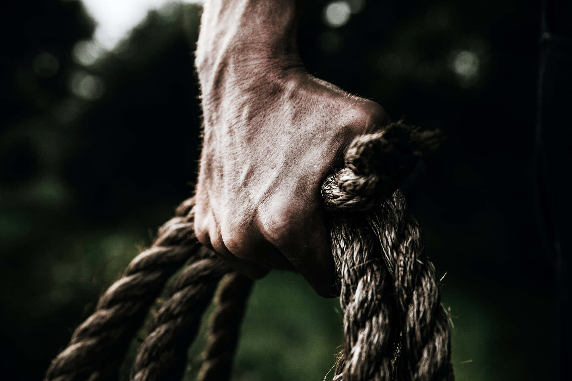 A Man's Hand Holding A Rope