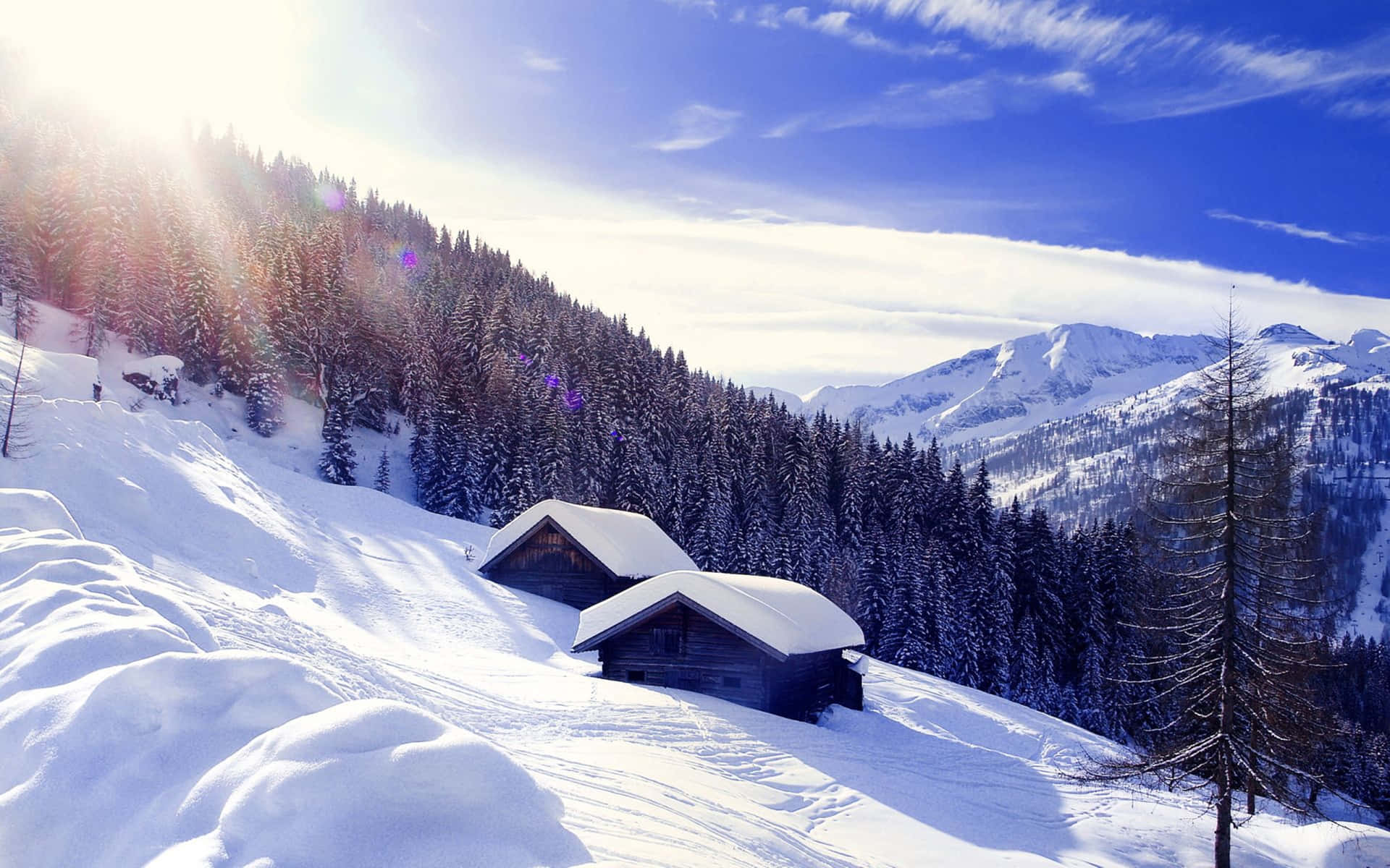 A Man Stands In Front Of Snow-covered Peaks And Mountains, Looking Out With Awe.