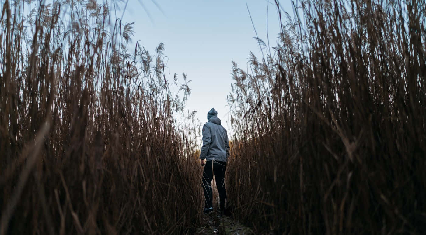A Man Walking Through Tall Grass Background