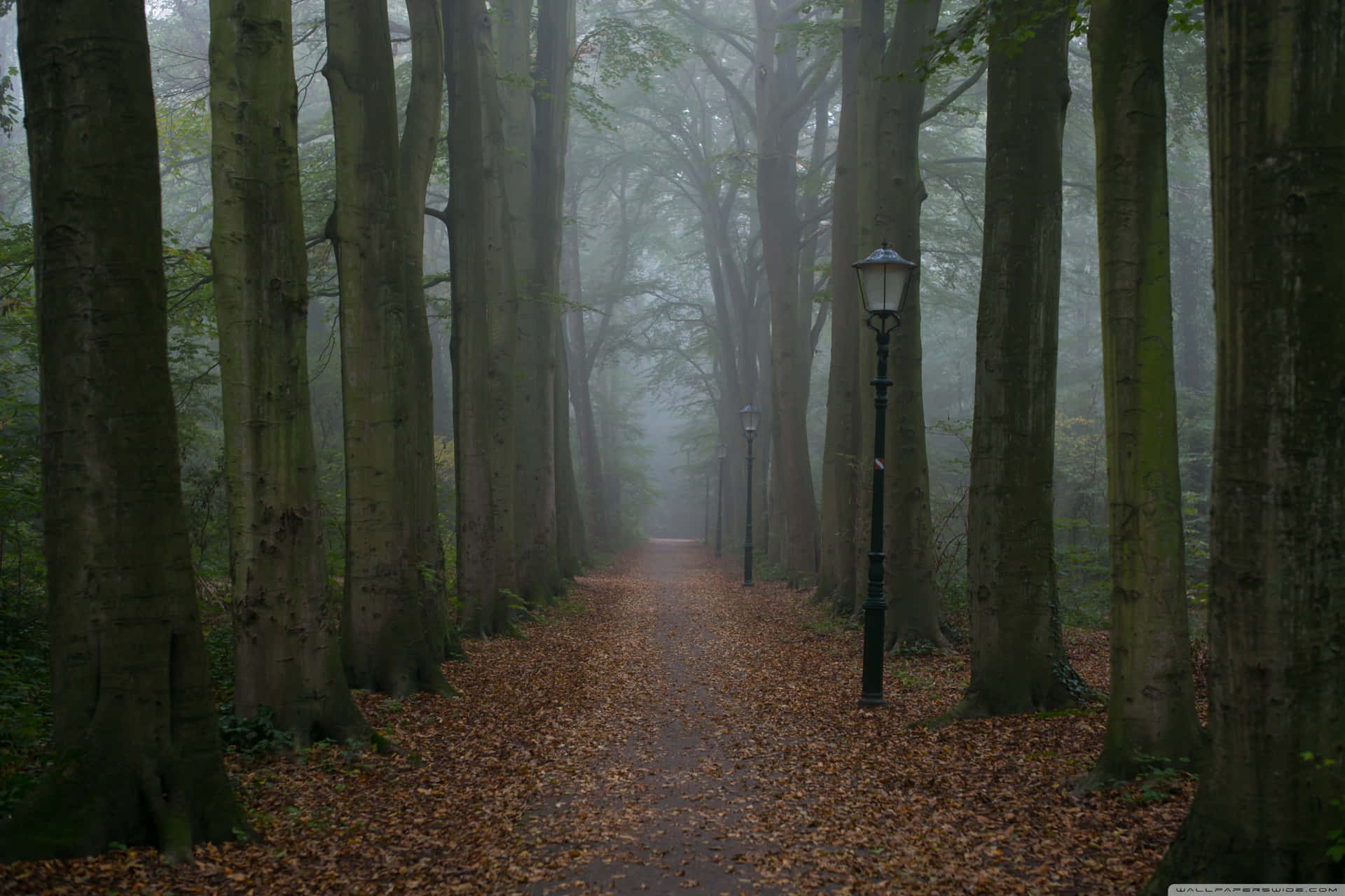 A Melancholic Yet Serene View Of The Streets Of A Small Village.