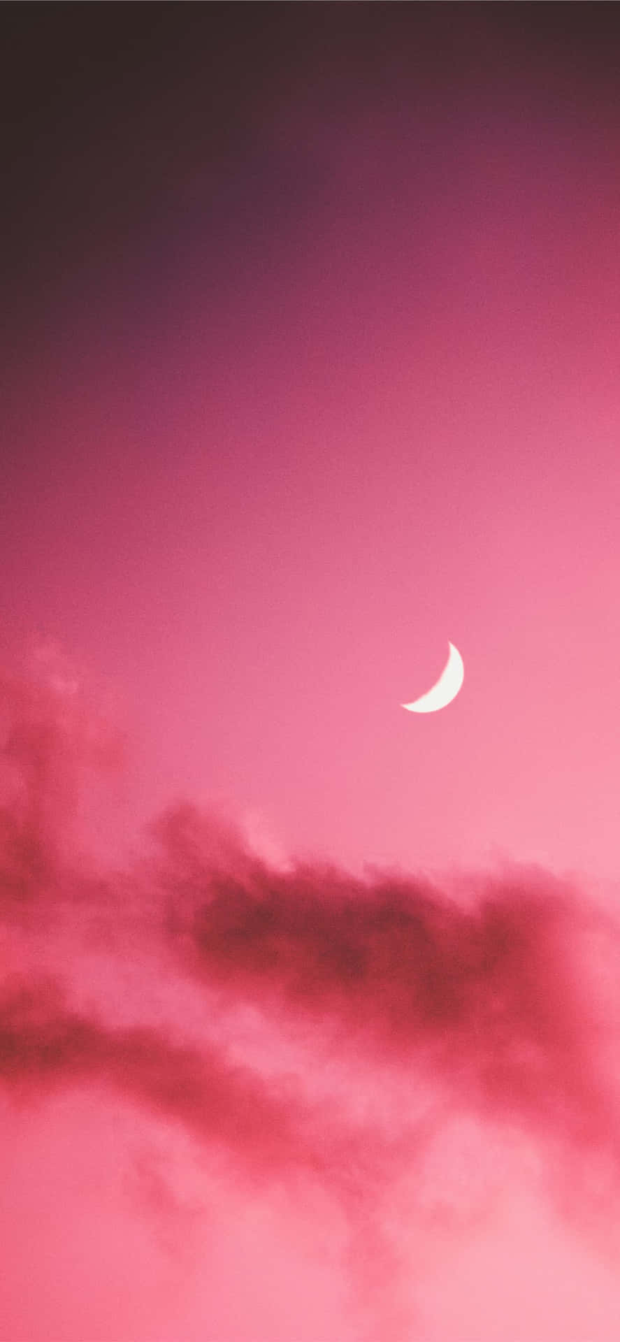 A Memorable Photo Of A Beautiful Pink Moon Rising In The Night Sky Background