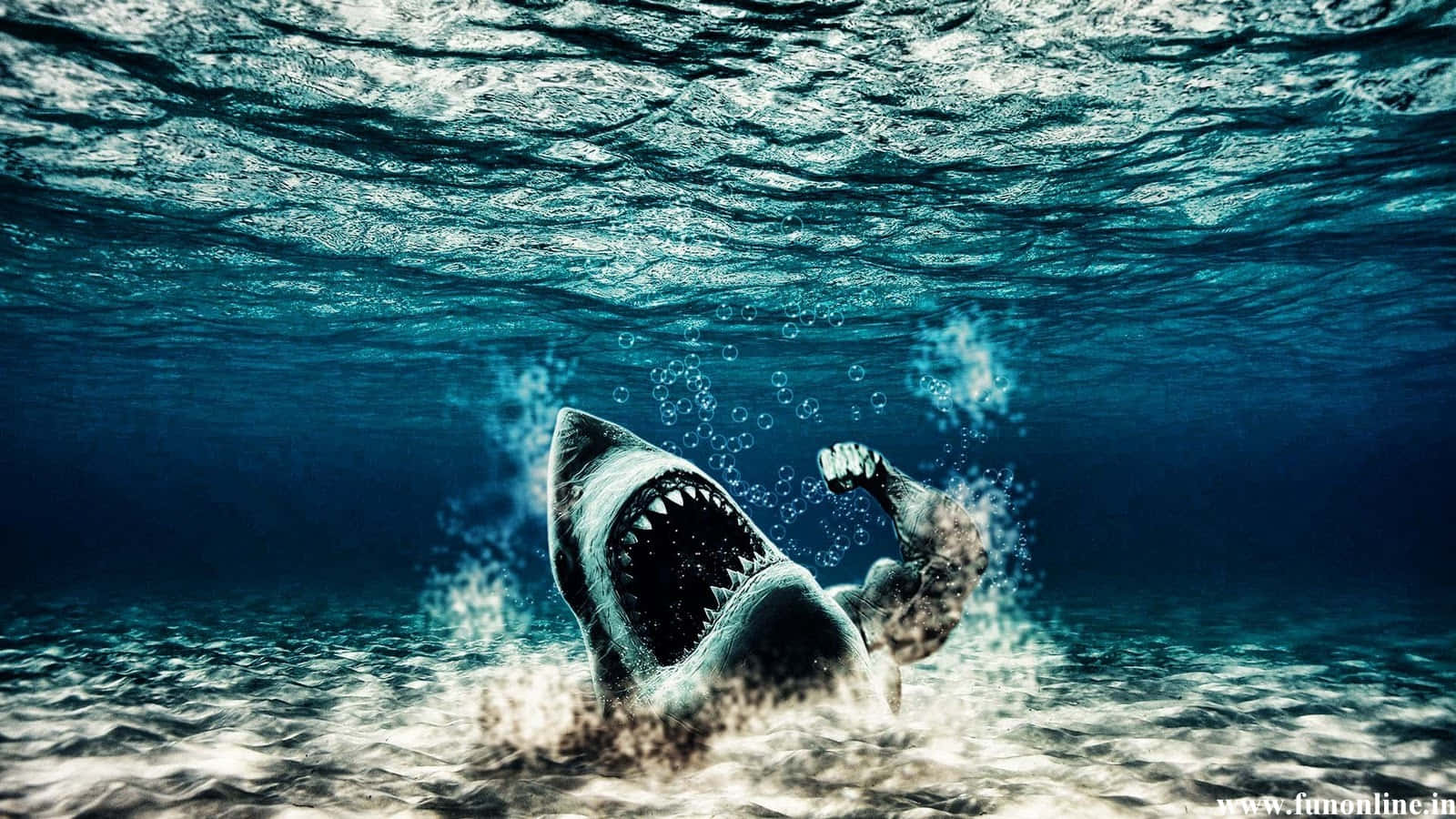 A Menacing, Great White Shark Swims Menacingly Through The Depths Background