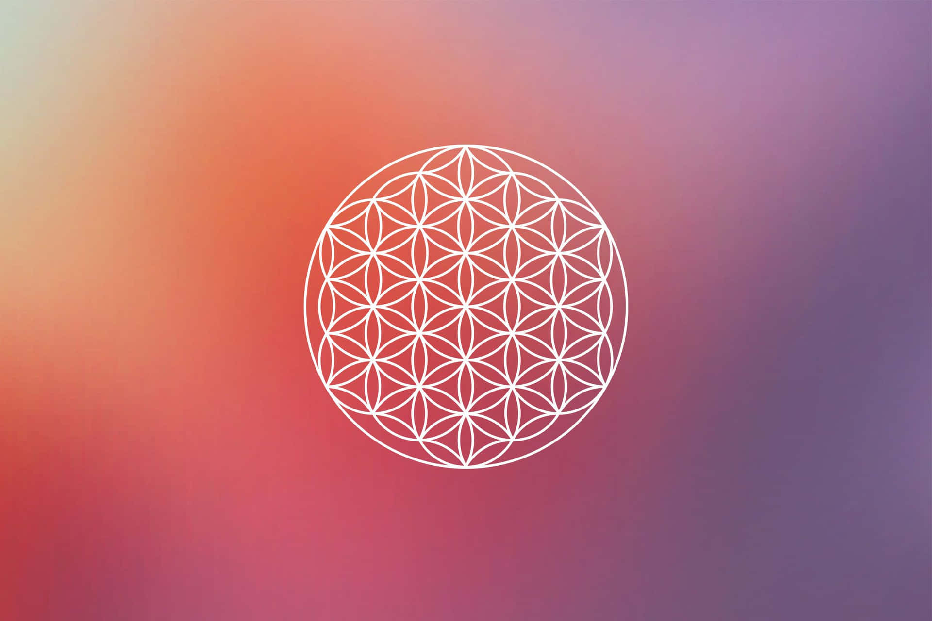 A Mesmerizing Flower Of Life, Linking The Present With Our Collective Past. Background