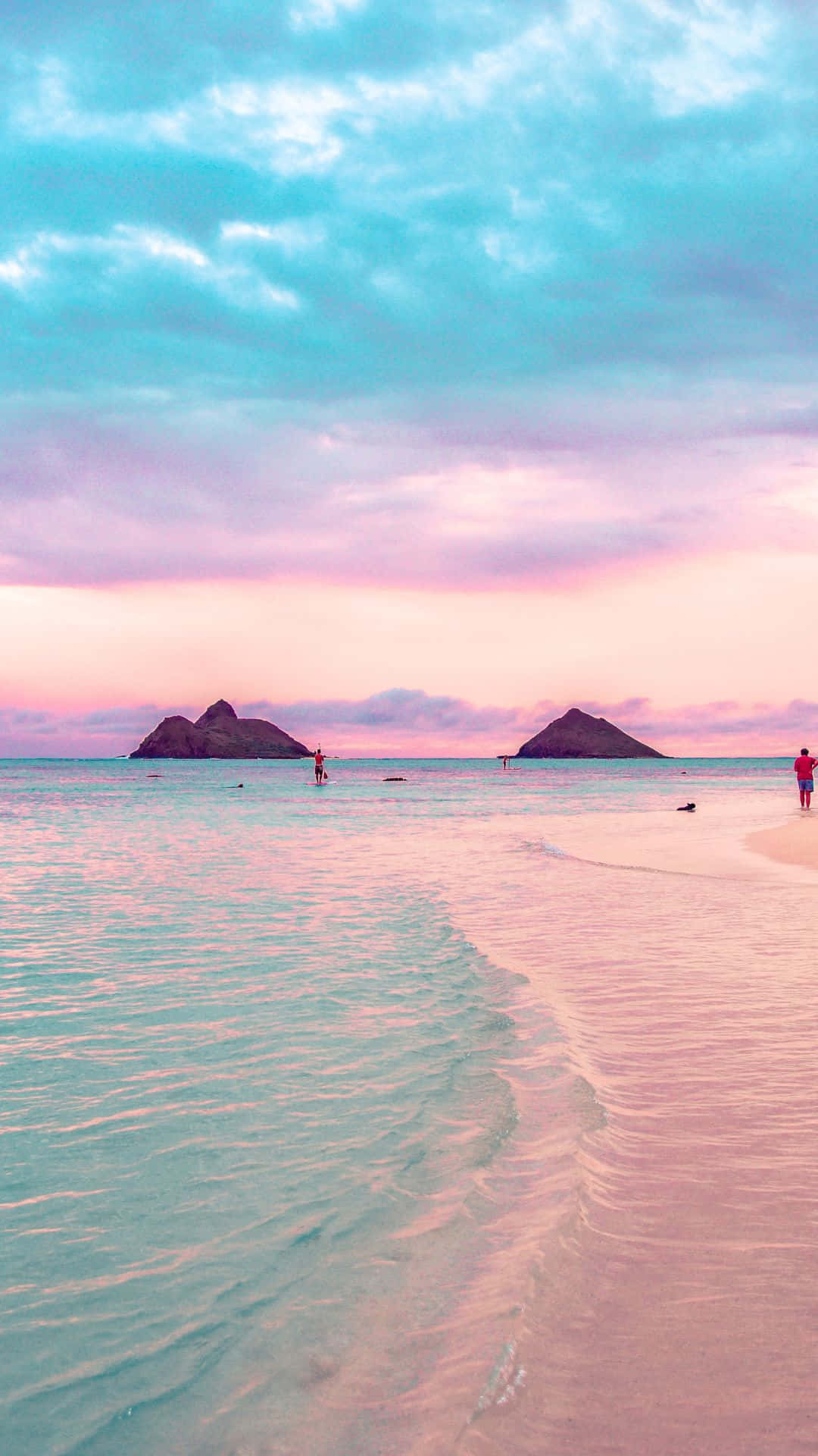 A Mesmerizing View Of Pink Beach's Crystal-clear Waters And Vibrant Pink Sands Background