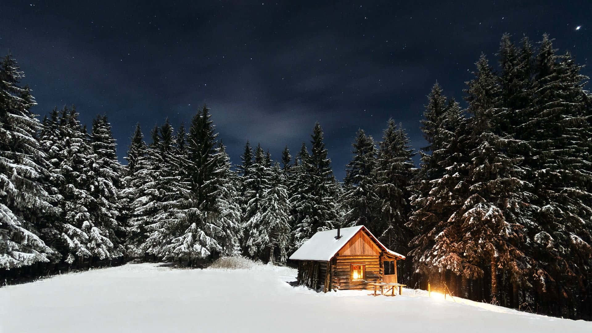 A Mesmerizing Winter Landscape In The Heart Of The Snow-covered Forest.