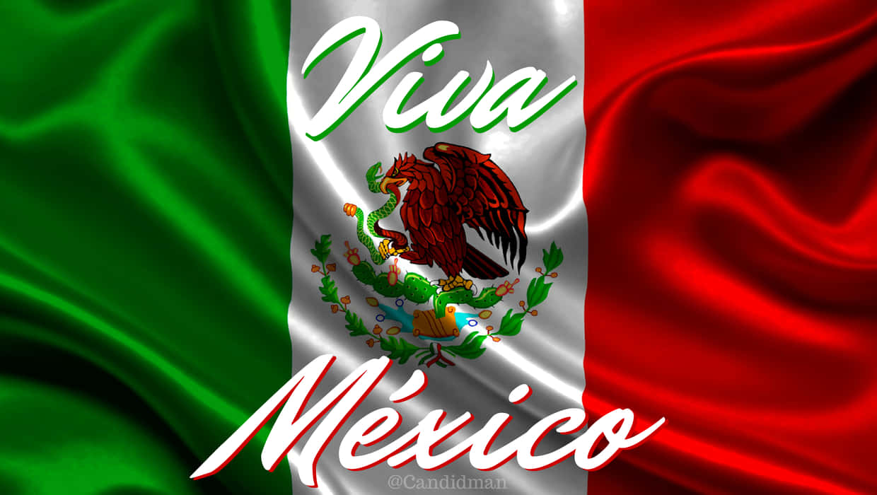 A Mexican Flag With The Words Viva Mexico