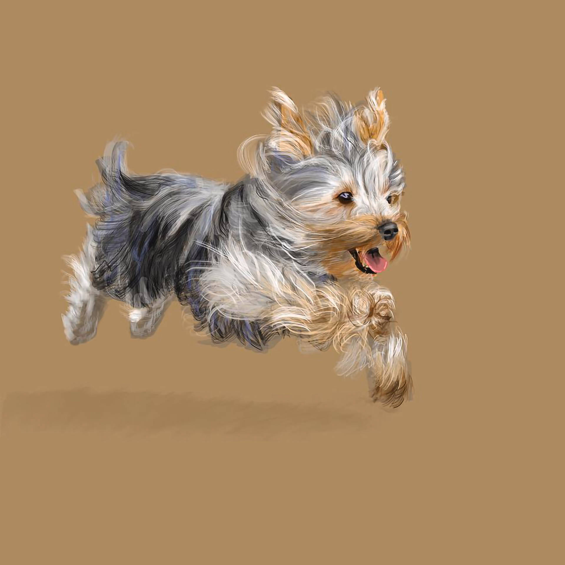 A Mid-air Yorkie Puppy Showcasing Playful Energy Background