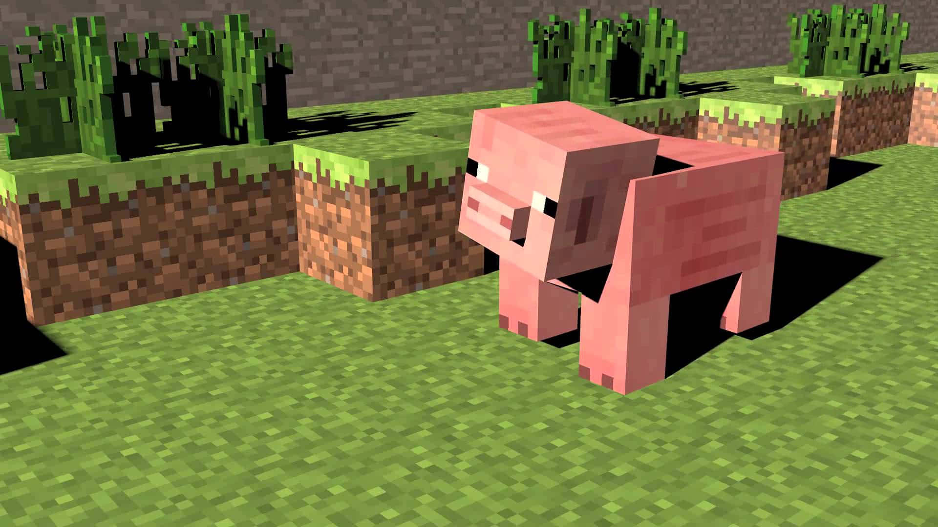 A Minecraft Pig, Taking In Its Surroundings Background