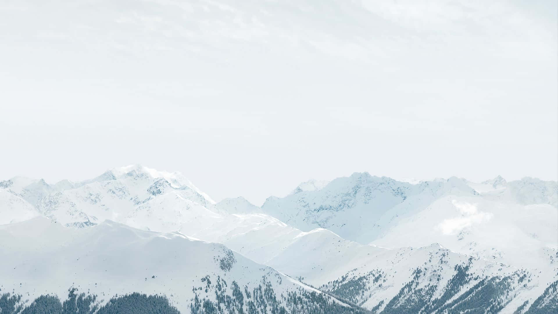 A Minimalist Apple Themed Desktop Background