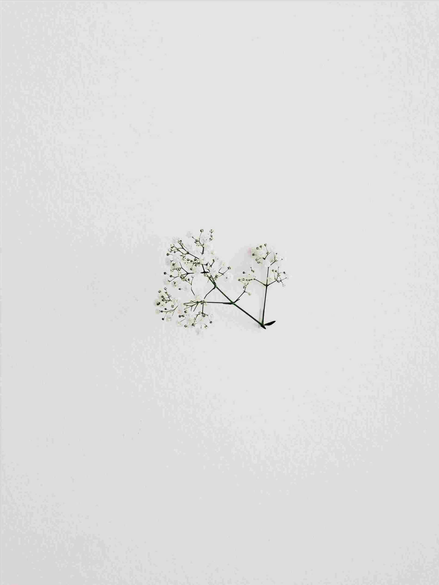 A Minimalist Drawing To Inspire Simplicity Background
