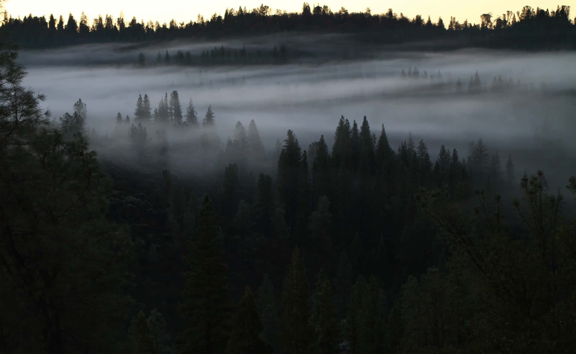 A Misty And Gloomy Autumn Morning Background