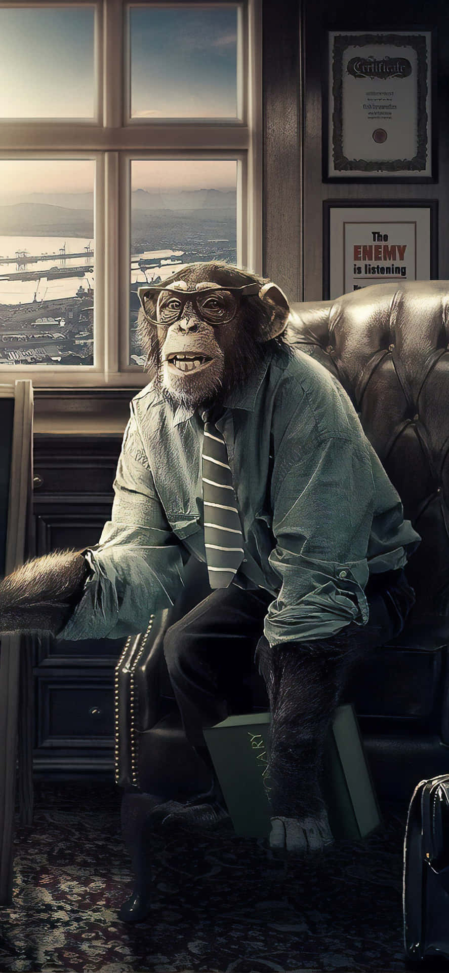 A Monkey Sitting In A Chair Background
