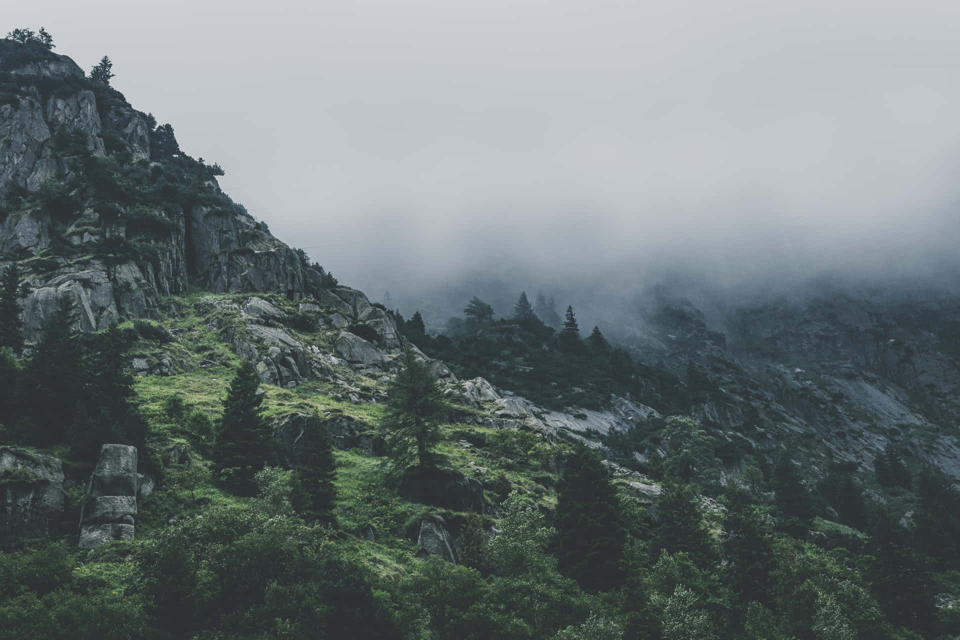 A Moody Landscape: Enjoy The Day-night View In Gloomy Background