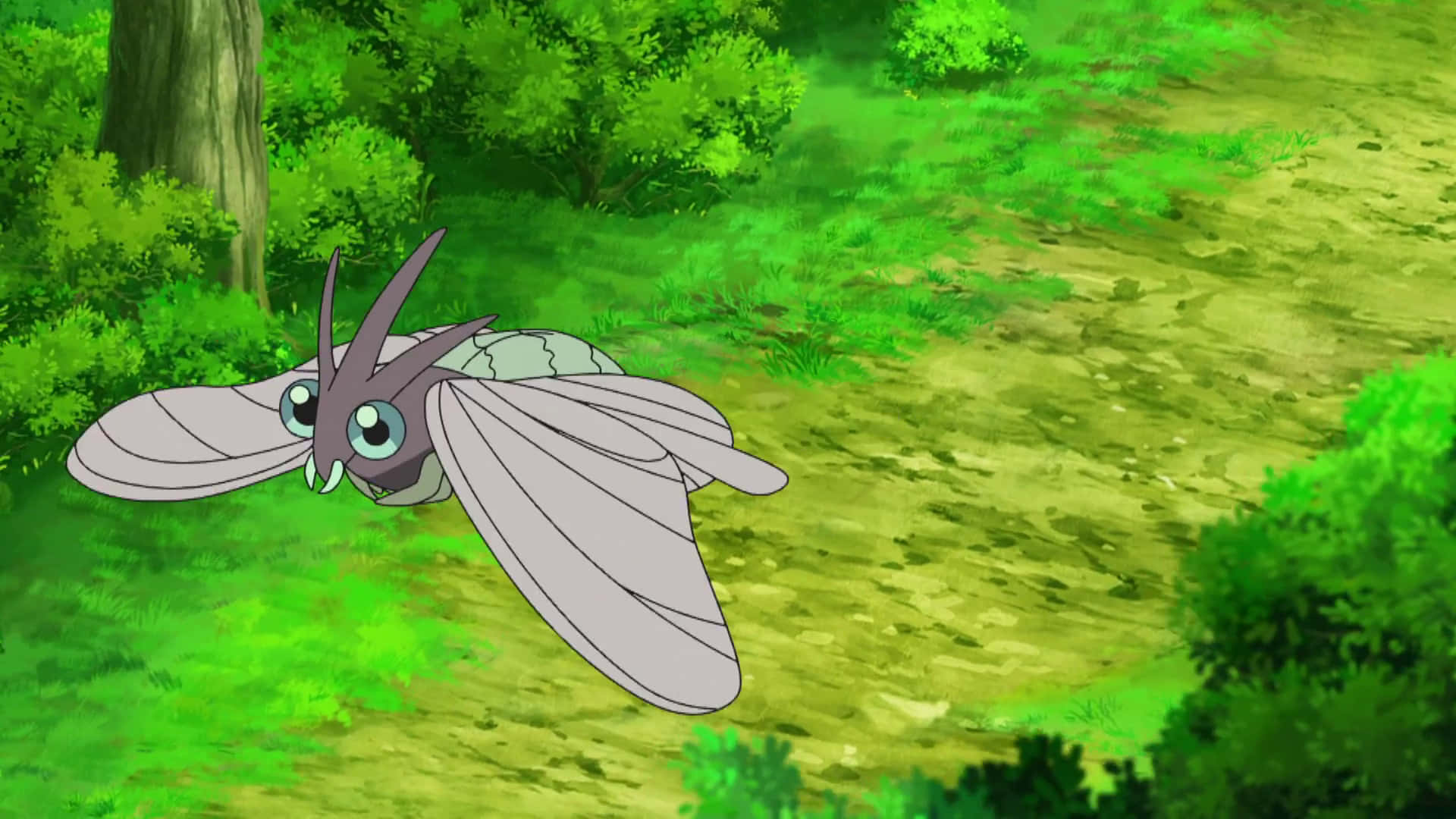A Moth Flying Through The Forest Background