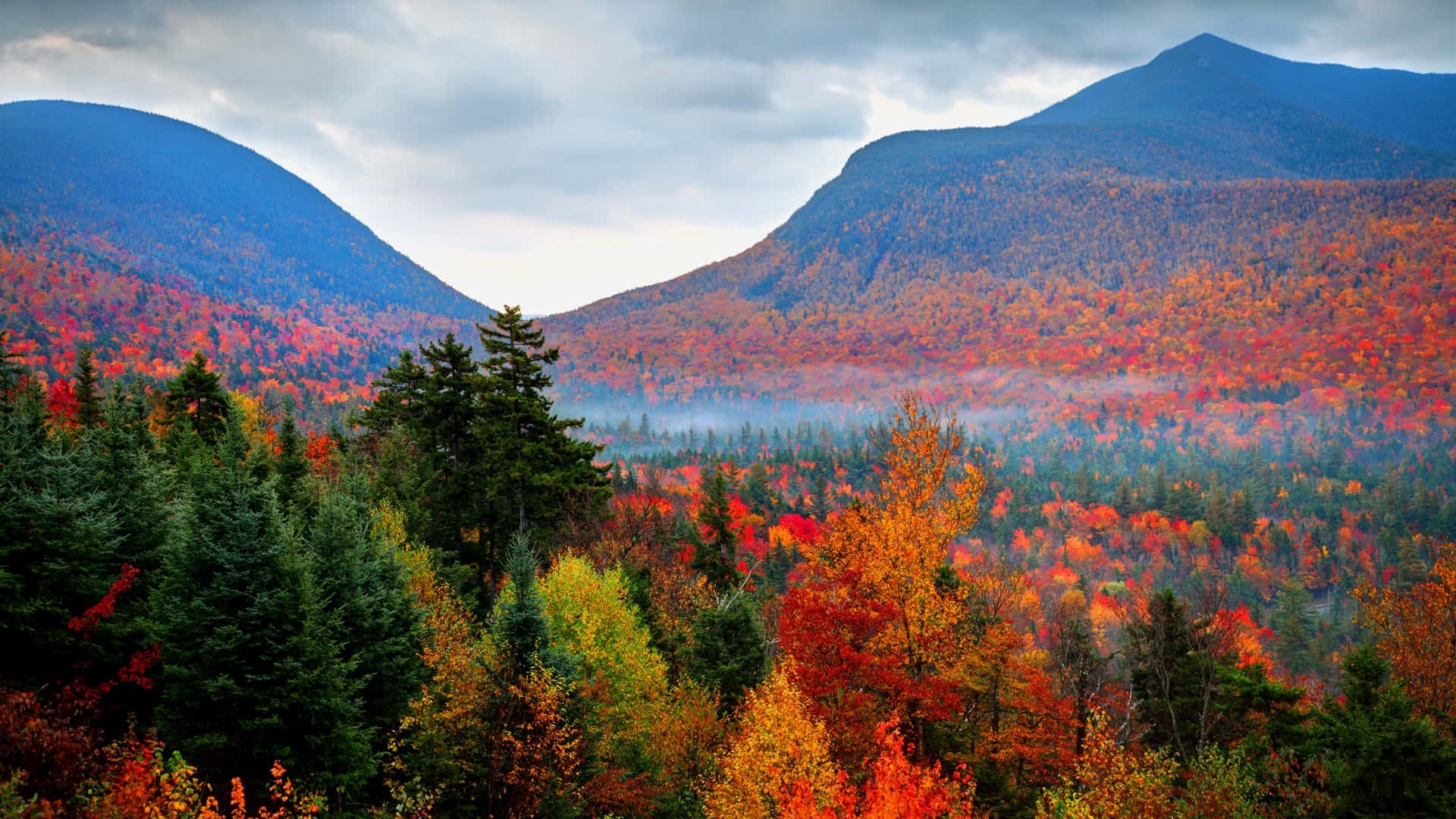 A Mountain Range With Colorful Trees And Mountains Background