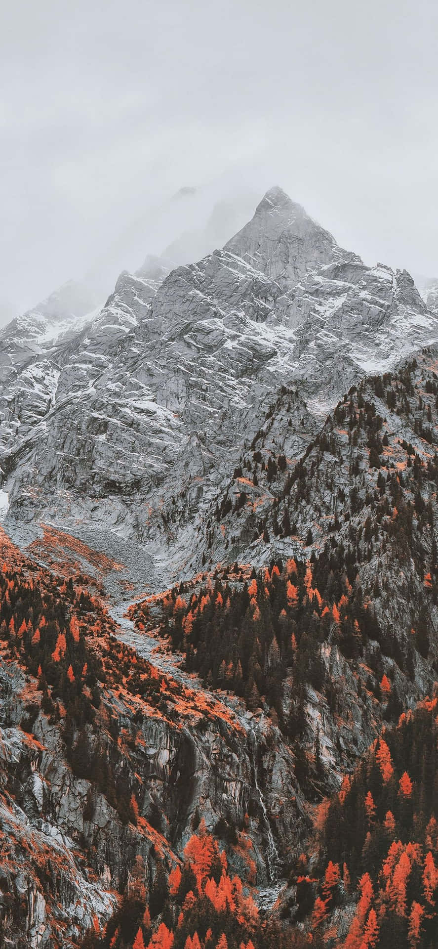 A Mountain Range With Red Trees And A Mountain