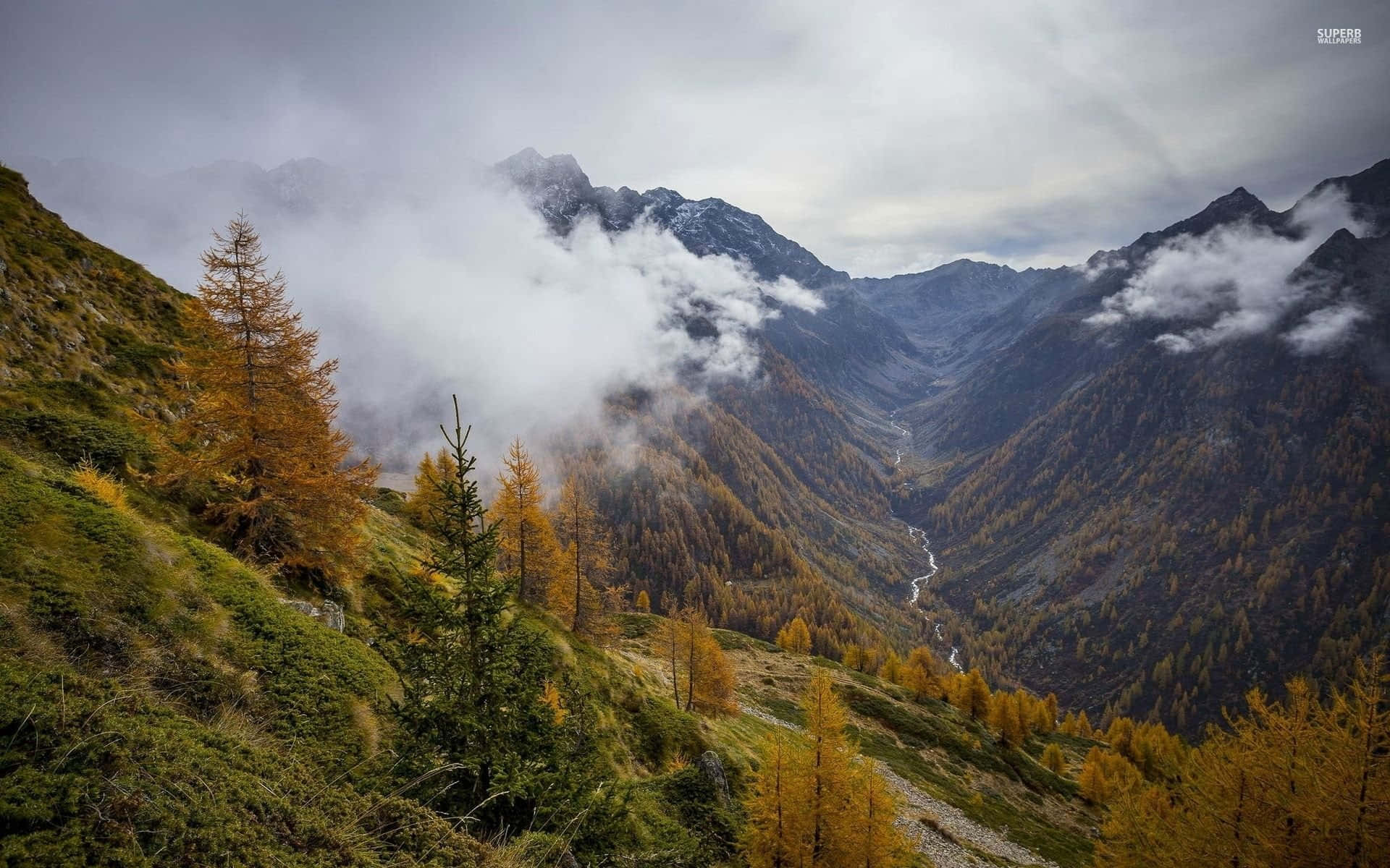 A Mountain Range With Trees And Clouds In The Background Background