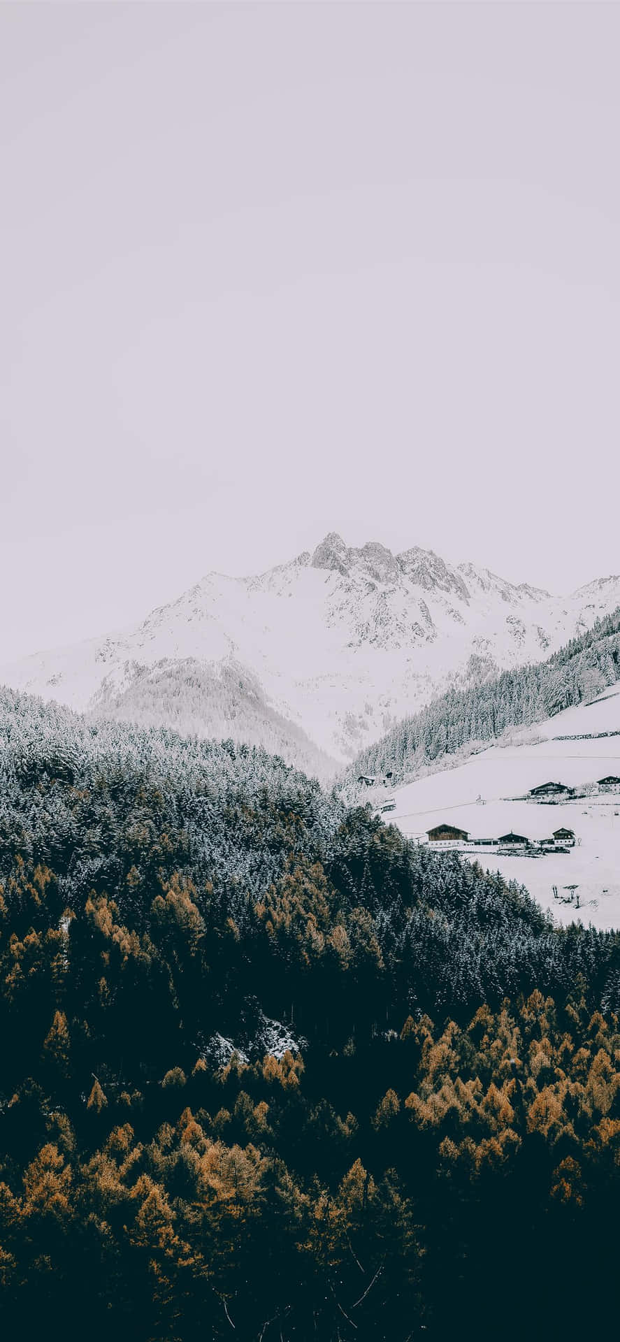 A Mountain Range With Trees And Mountains In The Background Background