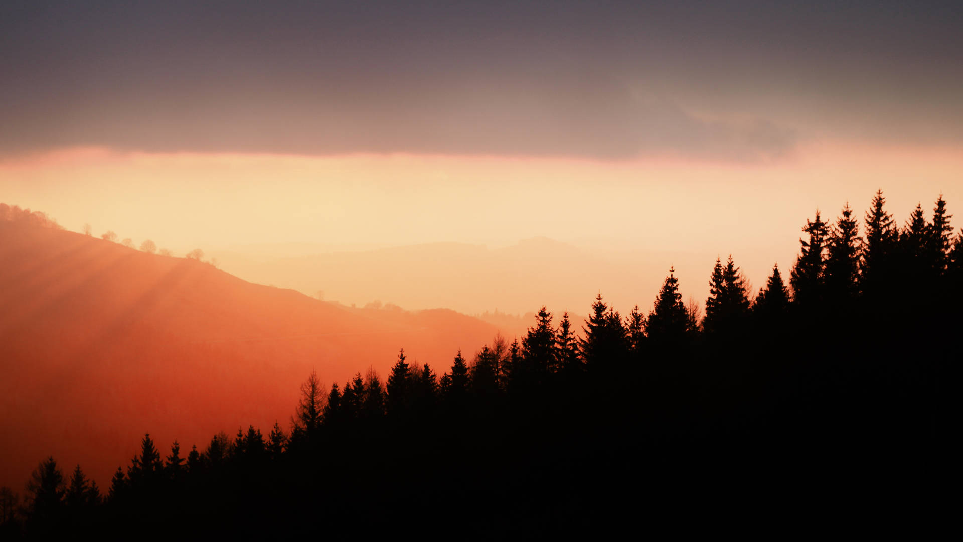 A Mountain Range With Trees Background