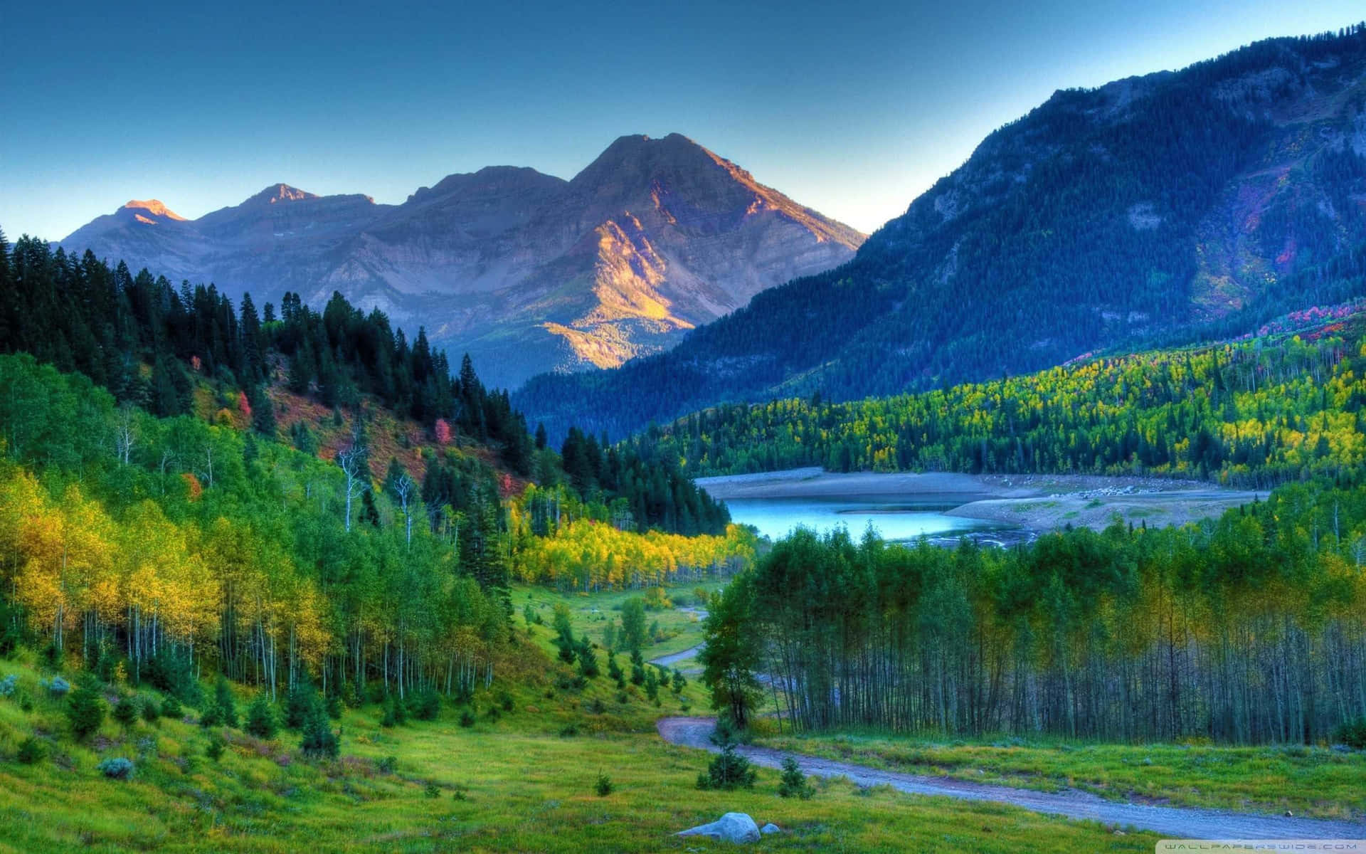 A Mountain Road With Trees And Mountains In The Background Background