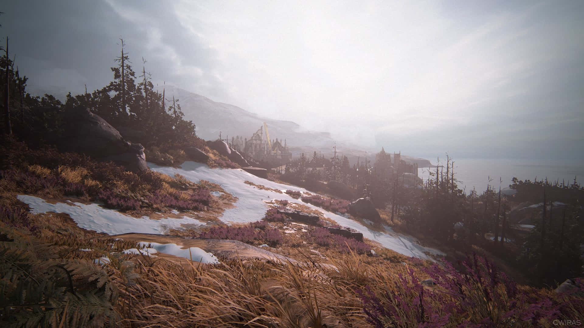 A Mountain With Grass And Flowers In The Background Background