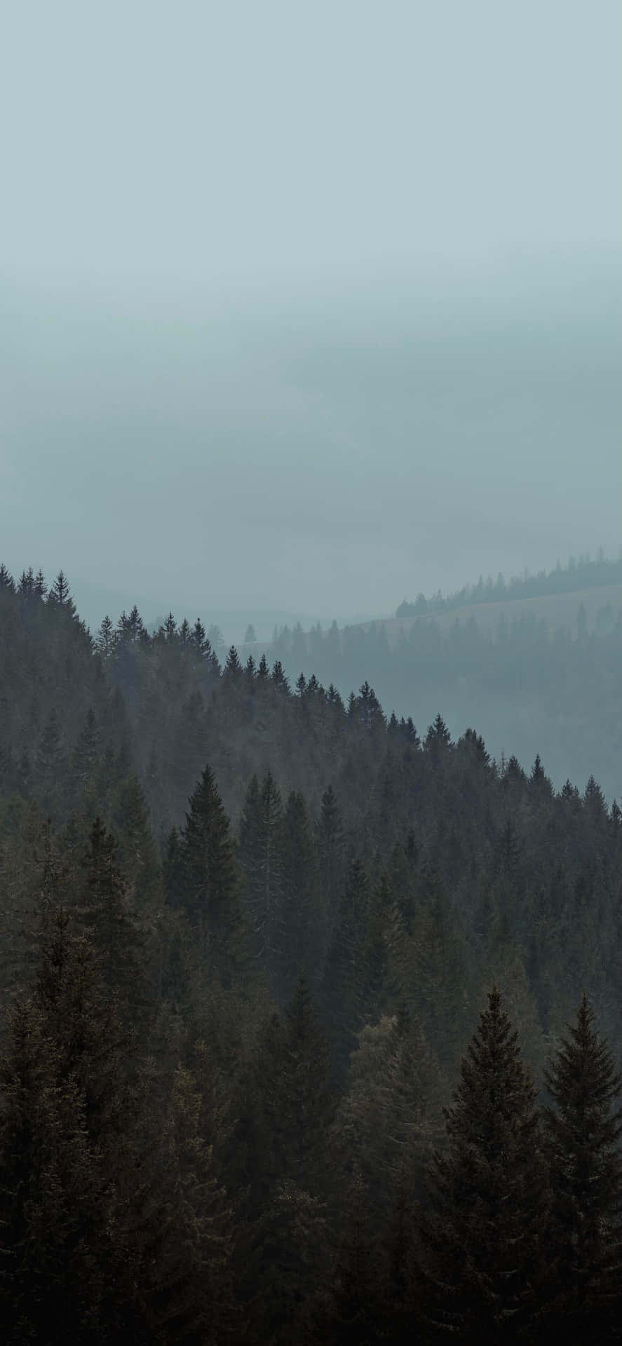 A Mountain With Trees Background