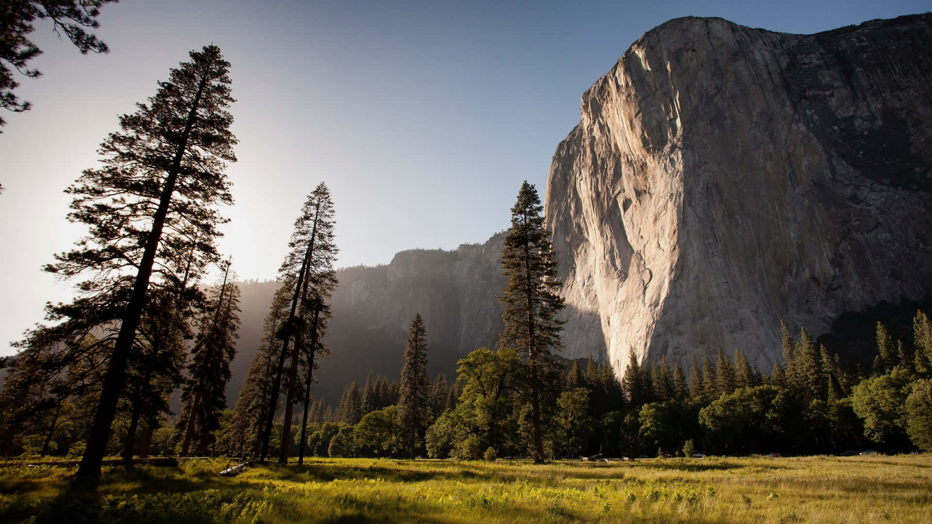 A Mountain With Trees And Grass In The Background Background