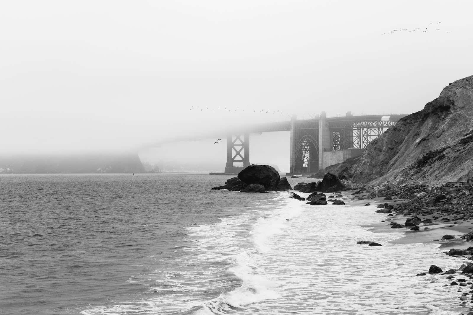 A Mysterious Fog Slowly Blankets San Francisco Background