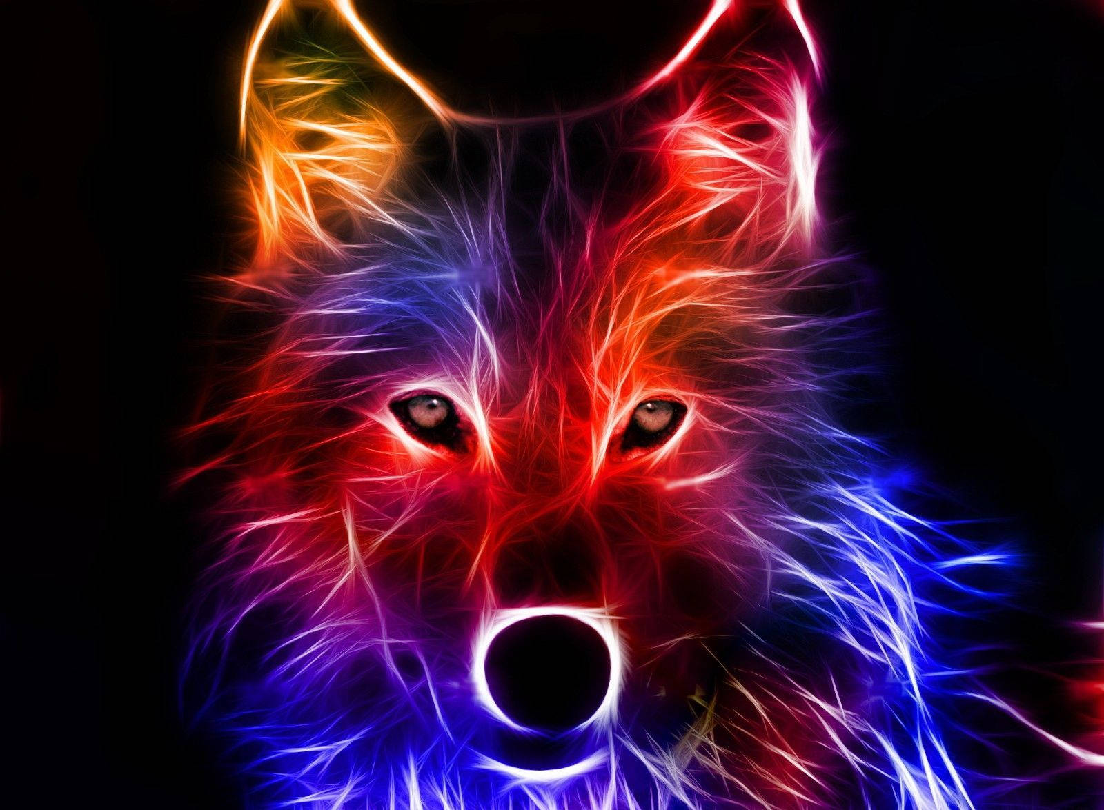 A Mysterious Glowing Wolf Stands In The Night Background