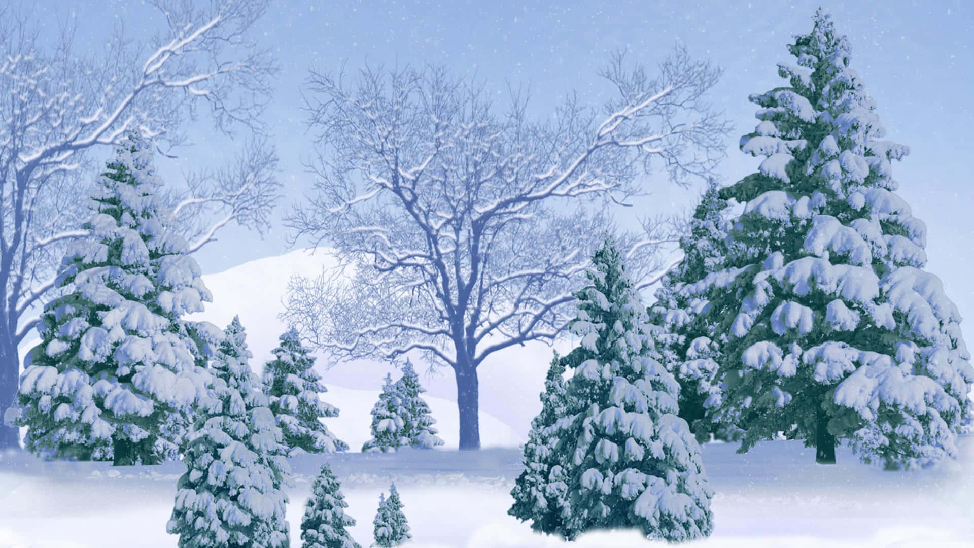 A Mysterious Winter Forest Background