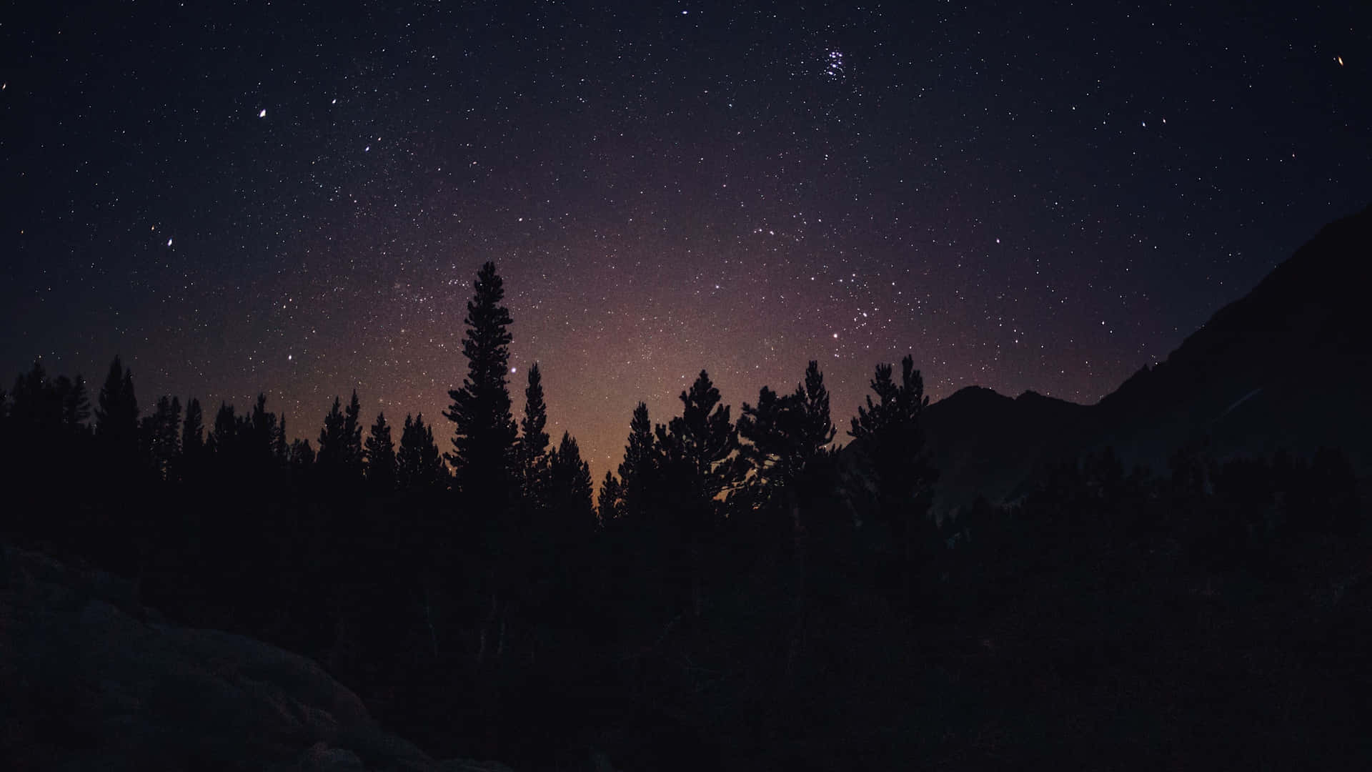A Mystical Journey Through The Night Forest Background
